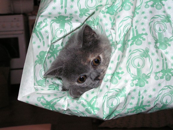 PICT0033.jpg